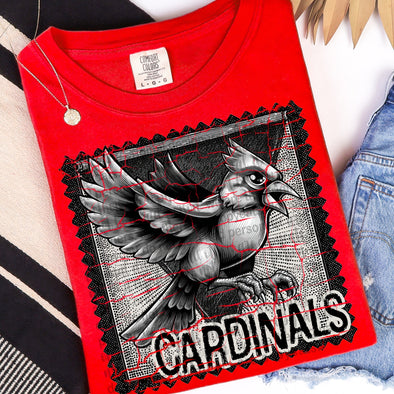 Cardinals -  DTF Transfer