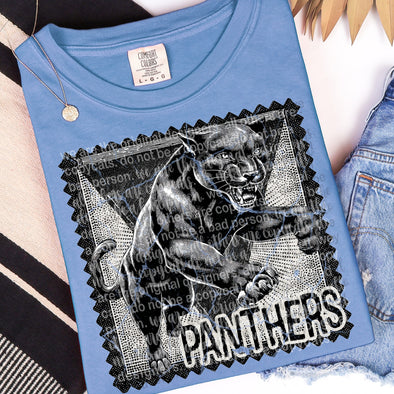 Panthers - DTF Transfer