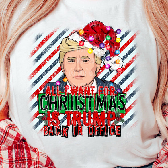 All I Want For Christmas Is Trump - DTF Transfer