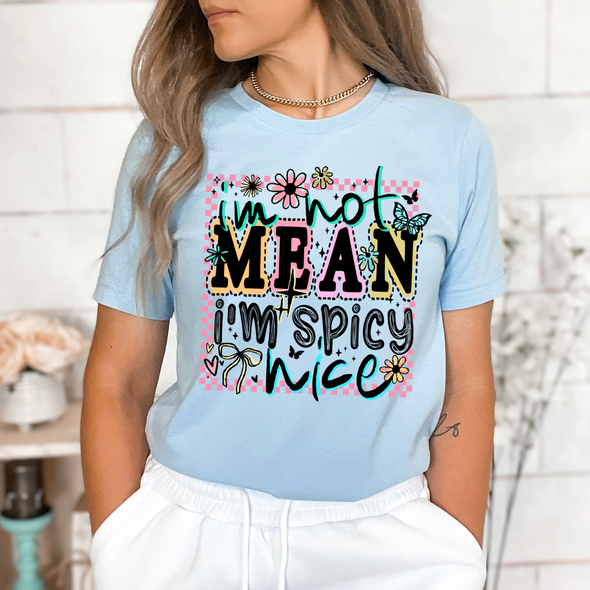 Spicy Nice  - DTF Transfer