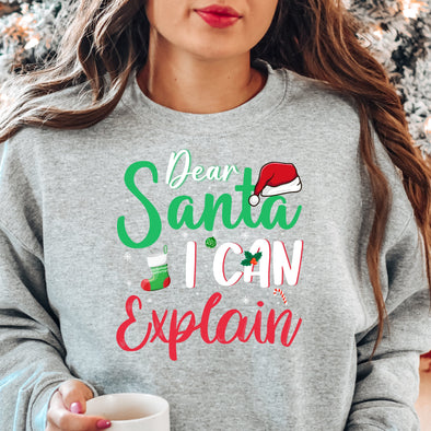 Dear Santa I Can Explain - DTF Transfer