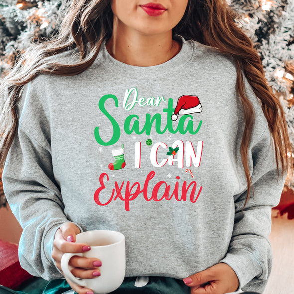 Dear Santa I Can Explain - DTF Transfer