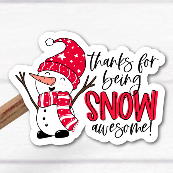 S33 Snow Awesome (25) - Packaging Stickers