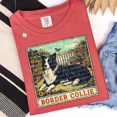 Border Collie - DTF Transfer