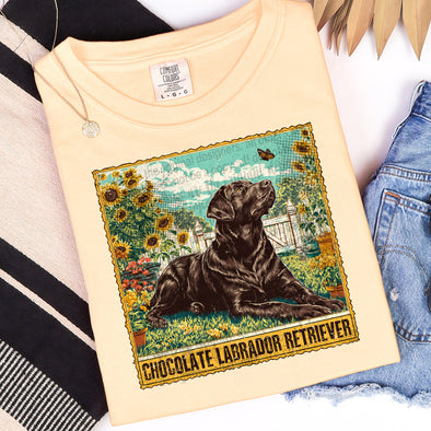 Chocolate Labradors - DTF Transfer