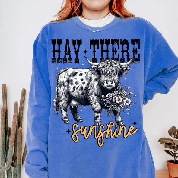 Hay There Sunshine - DTF Transfer