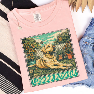 Labrador Retriever - DTF Transfer