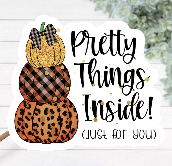 S107 Fall Pretty Things Inside (25) Stickers